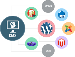 Should You Consider Developing A Custom CMS For Your Website?