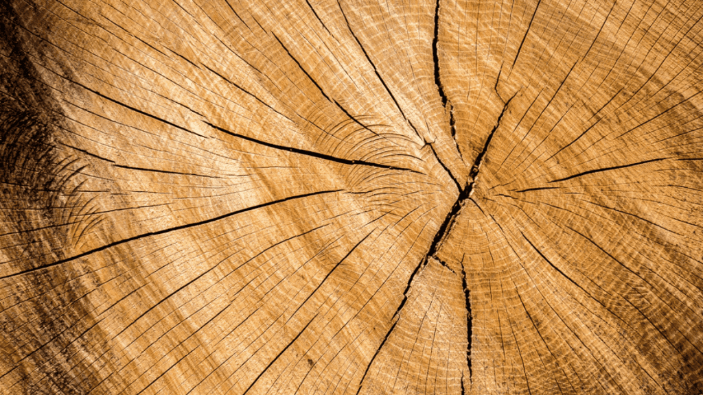 22 Best Free Seamless Wood Texture to Download min 1